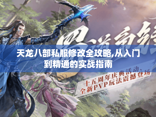 天龙八部私服修改全攻略,从入门到精通的实战指南