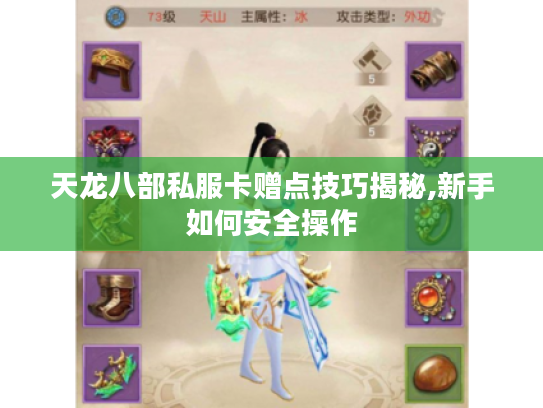 天龙八部私服卡赠点技巧揭秘,新手如何安全操作