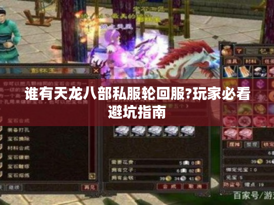 谁有天龙八部私服轮回服?玩家必看避坑指南
