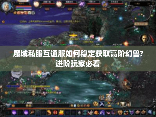 魔域私服互通服如何稳定获取高阶幻兽?进阶玩家必看