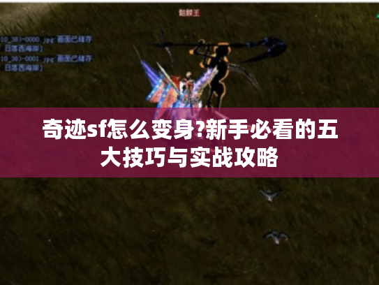 奇迹sf怎么变身?新手必看的五大技巧与实战攻略