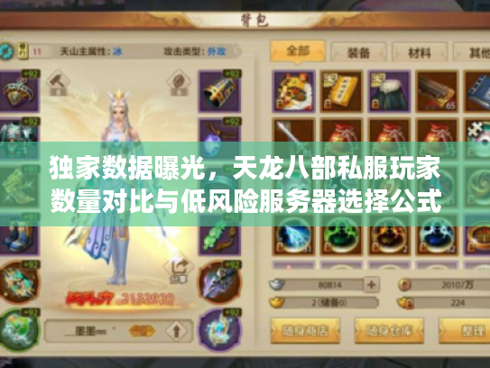 独家数据曝光，天龙八部私服玩家数量对比与低风险服务器选择公式
