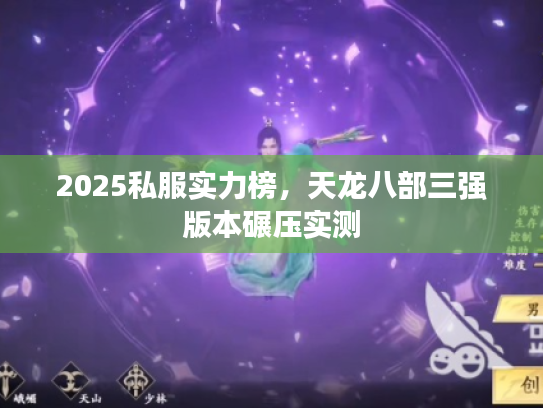 2025私服实力榜，天龙八部三强版本碾压实测