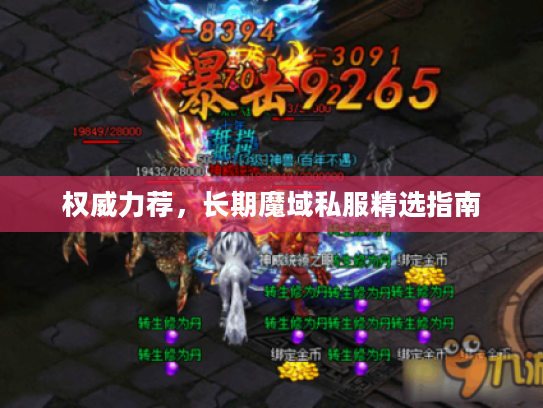 权威力荐，长期魔域私服精选指南