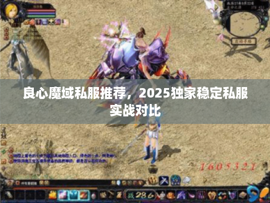 良心魔域私服推荐，2025独家稳定私服实战对比