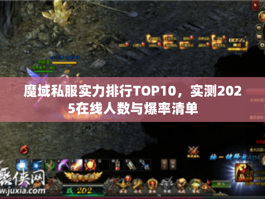 魔域私服实力排行TOP10，实测2025在线人数与爆率清单