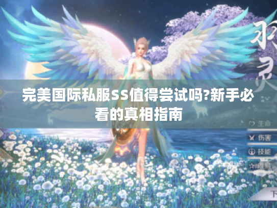 完美国际私服SS值得尝试吗?新手必看的真相指南