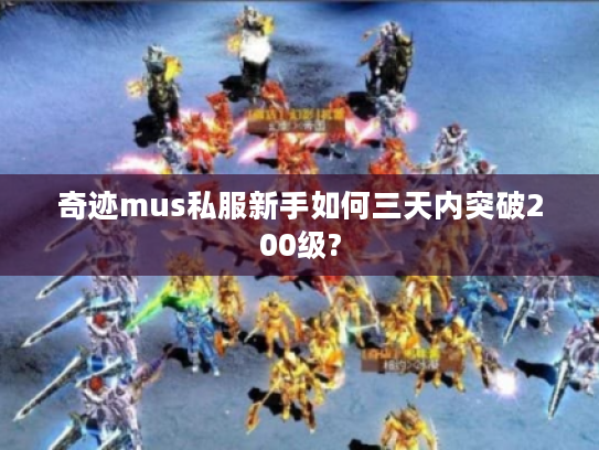 奇迹mus私服新手如何三天内突破200级?