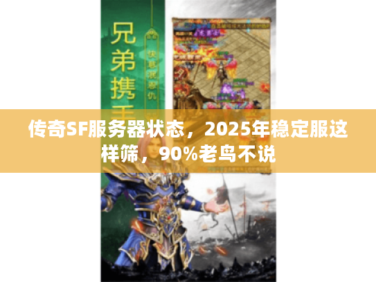 传奇SF服务器状态，2025年稳定服这样筛，90%老鸟不说
