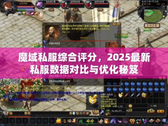 魔域私服综合评分，2025最新私服数据对比与优化秘笈