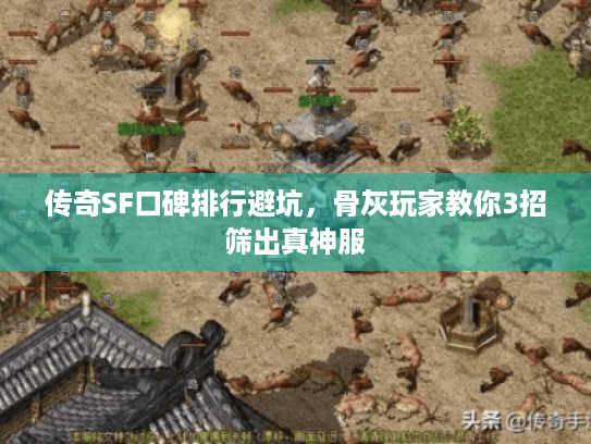 传奇SF口碑排行避坑，骨灰玩家教你3招筛出真神服