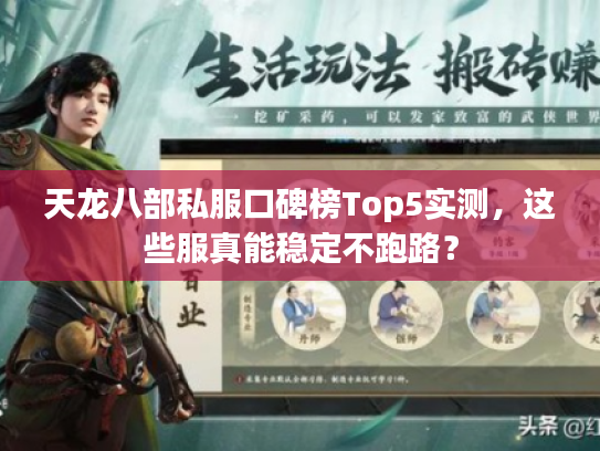 天龙八部私服口碑榜Top5实测，这些服真能稳定不跑路？