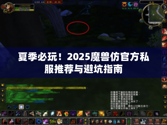 夏季必玩！2025魔兽仿官方私服推荐与避坑指南