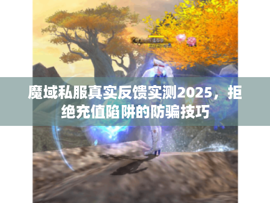 魔域私服真实反馈实测2025，拒绝充值陷阱的防骗技巧