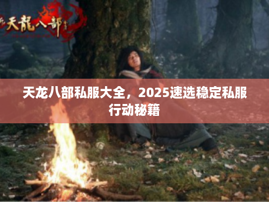 天龙八部私服大全，2025速选稳定私服行动秘籍