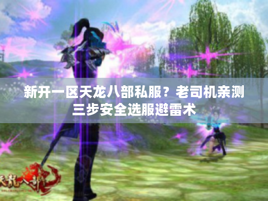 新开一区天龙八部私服？老司机亲测三步安全选服避雷术