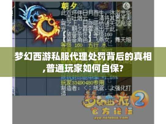 梦幻西游私服代理处罚背后的真相,普通玩家如何自保?
