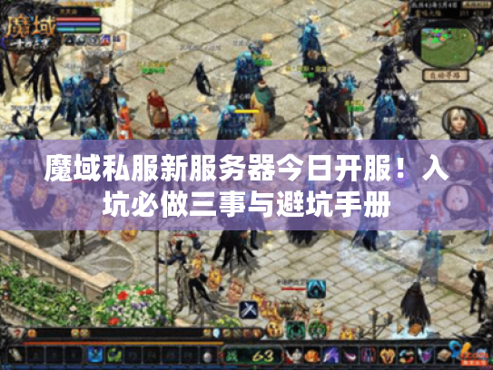 魔域私服新服务器今日开服！入坑必做三事与避坑手册