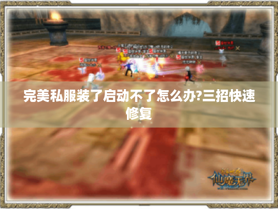完美私服装了启动不了怎么办?三招快速修复