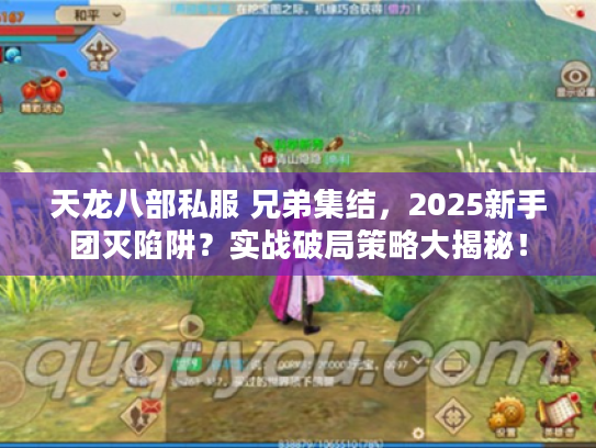 天龙八部私服 兄弟集结，2025新手团灭陷阱？实战破局策略大揭秘！
