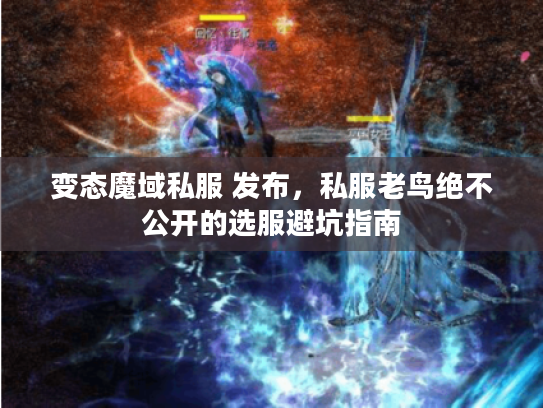 变态魔域私服 发布，私服老鸟绝不公开的选服避坑指南