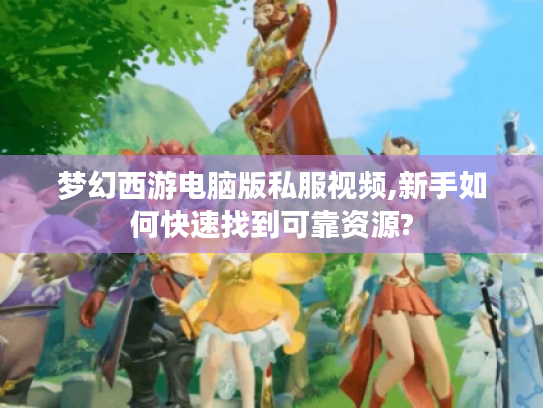 梦幻西游电脑版私服视频,新手如何快速找到可靠资源?
