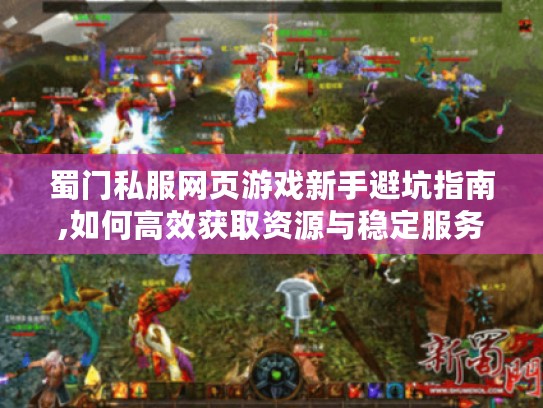 蜀门私服网页游戏新手避坑指南,如何高效获取资源与稳定服务器