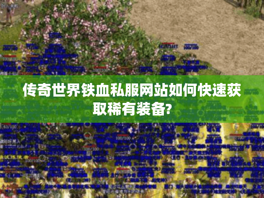 传奇世界铁血私服网站如何快速获取稀有装备?
