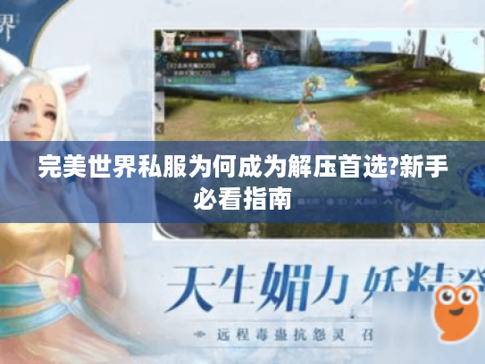 完美世界私服为何成为解压首选?新手必看指南