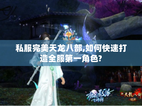 私服完美天龙八部,如何快速打造全服第一角色?