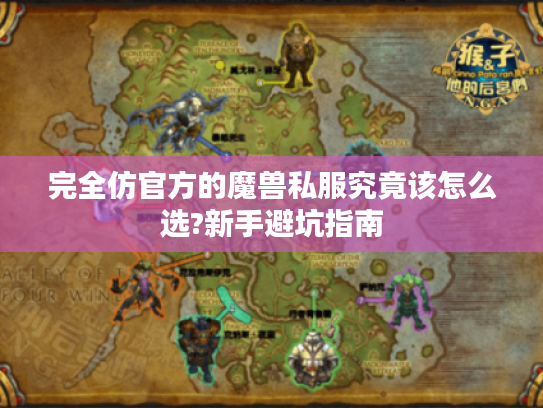 完全仿官方的魔兽私服究竟该怎么选?新手避坑指南