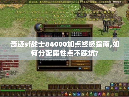 奇迹sf战士84000加点终极指南,如何分配属性点不踩坑?