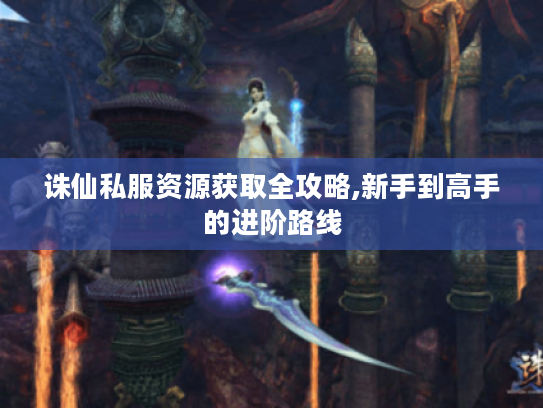 诛仙私服资源获取全攻略,新手到高手的进阶路线