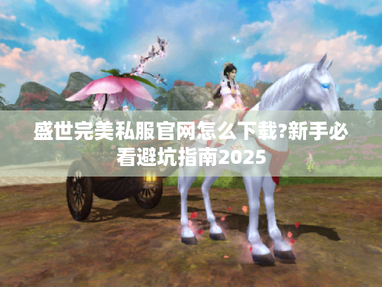 盛世完美私服官网怎么下载?新手必看避坑指南2025