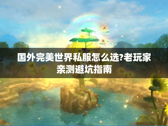 国外完美世界私服怎么选?老玩家亲测避坑指南