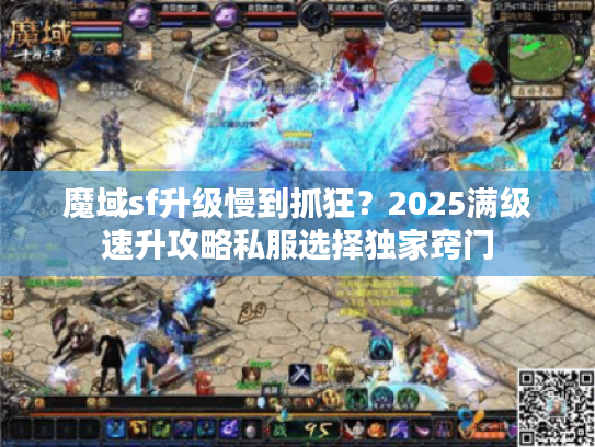 魔域sf升级慢到抓狂？2025满级速升攻略私服选择独家窍门