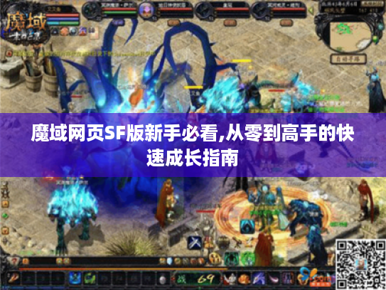 魔域网页SF版新手必看,从零到高手的快速成长指南