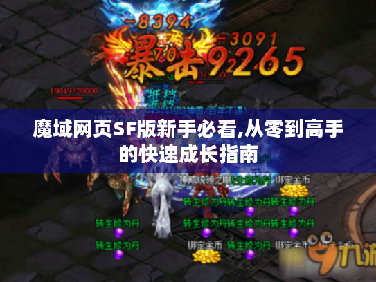 魔域网页SF版新手必看,从零到高手的快速成长指南