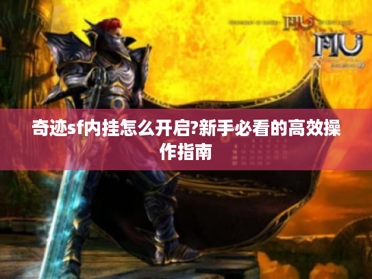 奇迹sf内挂怎么开启?新手必看的高效操作指南