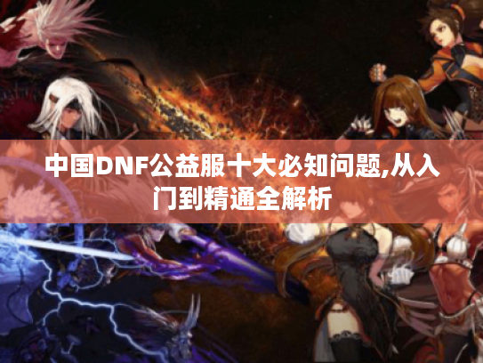 中国DNF公益服十大必知问题,从入门到精通全解析