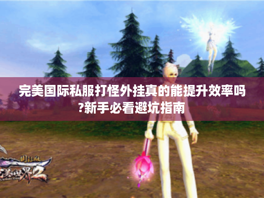 完美国际私服打怪外挂真的能提升效率吗?新手必看避坑指南