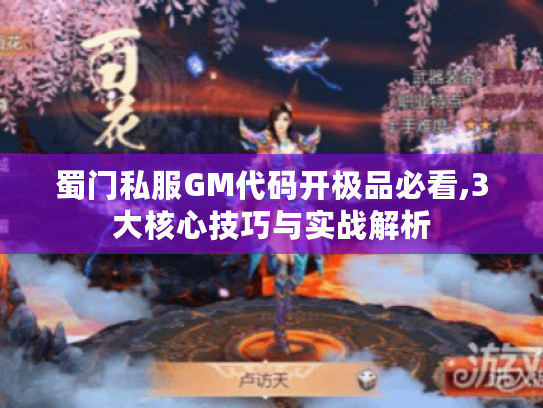 蜀门私服GM代码开极品必看,3大核心技巧与实战解析
