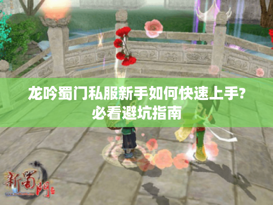 龙吟蜀门私服新手如何快速上手?必看避坑指南