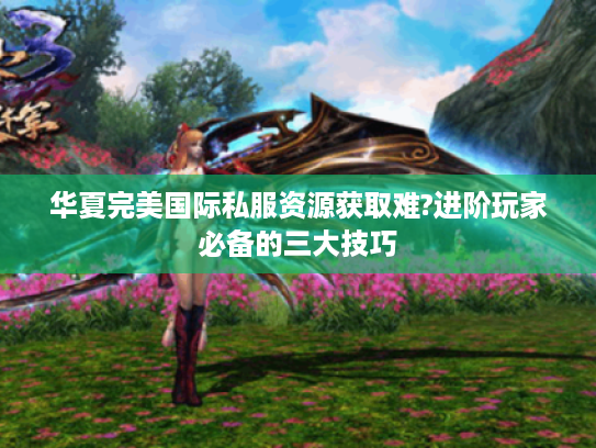 华夏完美国际私服资源获取难?进阶玩家必备的三大技巧