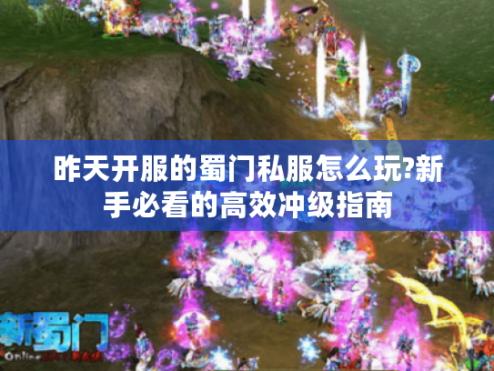 昨天开服的蜀门私服怎么玩?新手必看的高效冲级指南