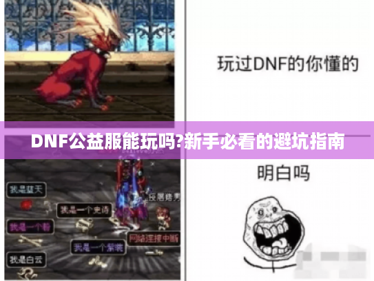 DNF公益服能玩吗?新手必看的避坑指南