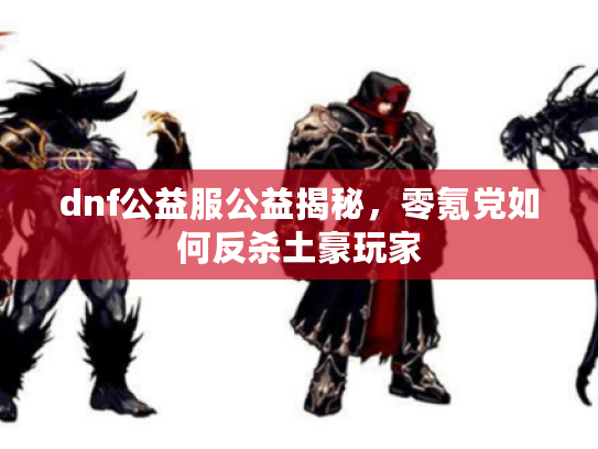 dnf公益服公益揭秘，零氪党如何反杀土豪玩家