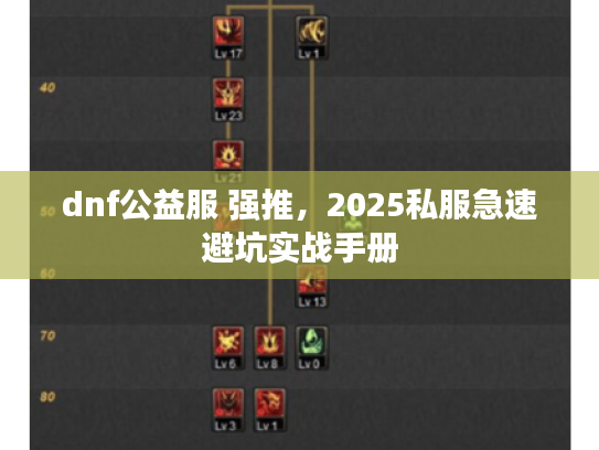 dnf公益服 强推，2025私服急速避坑实战手册