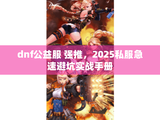 dnf公益服 强推，2025私服急速避坑实战手册