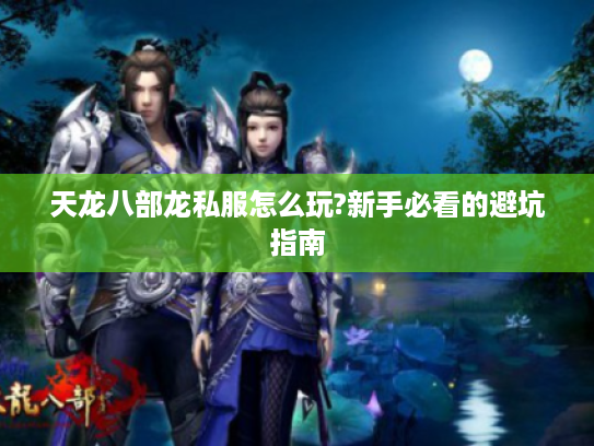 天龙八部龙私服怎么玩?新手必看的避坑指南